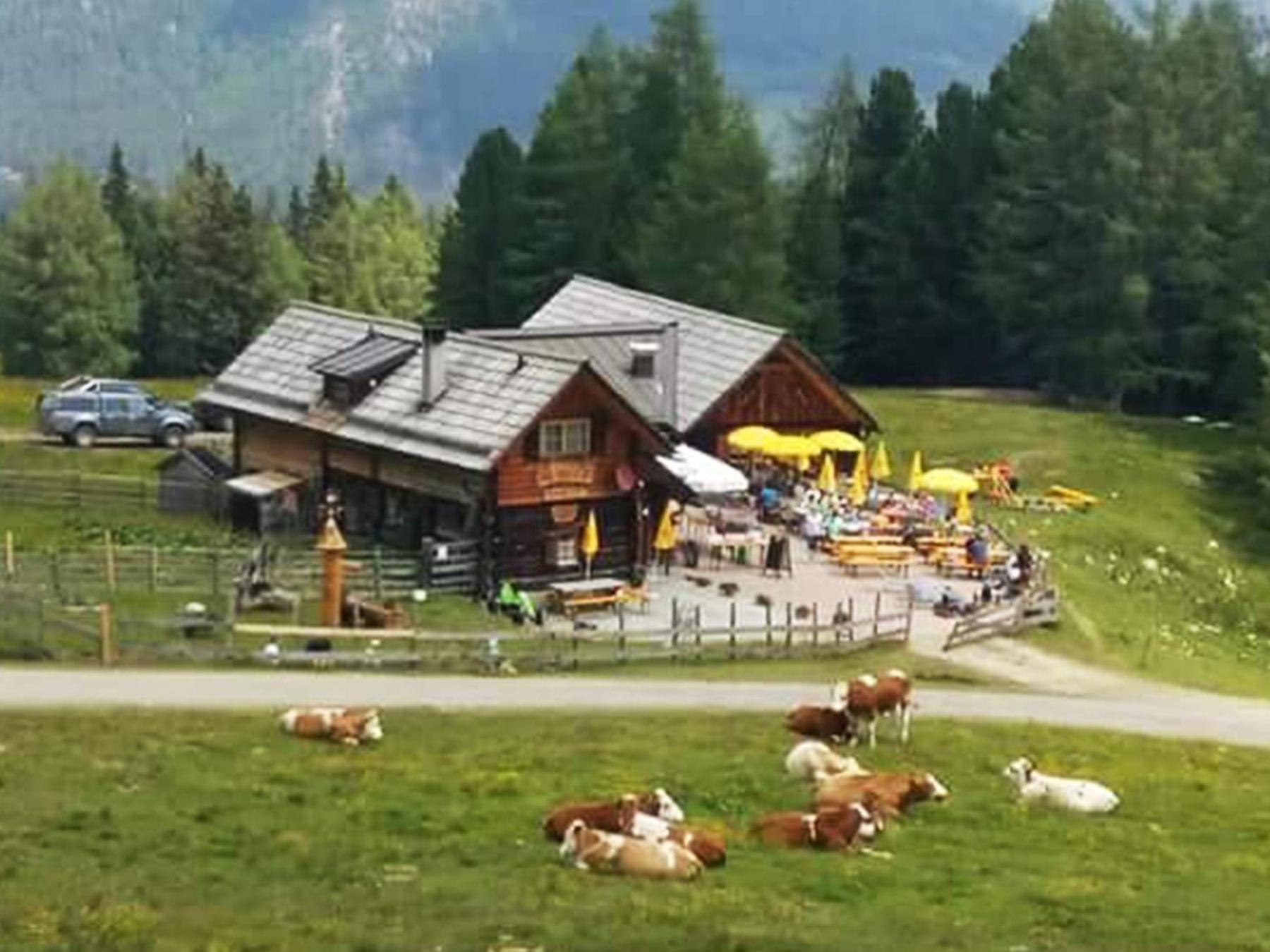 Appartementhaus Samson Fanningberg Weisspriach Экстерьер фото